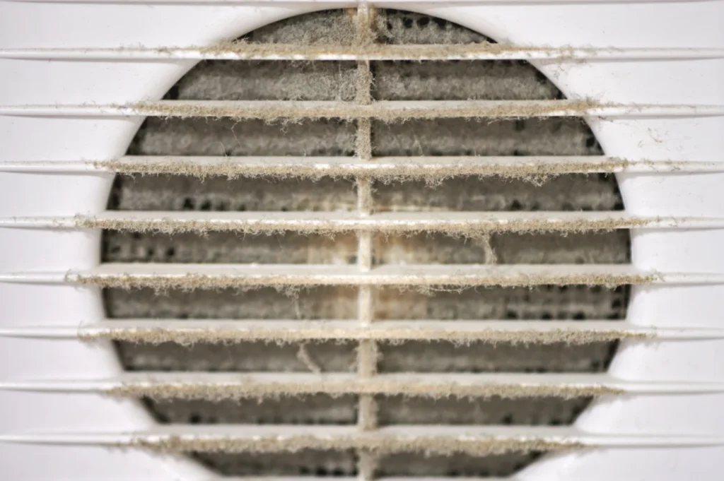 What Happens If You Skip Dryer Vent Cleaning